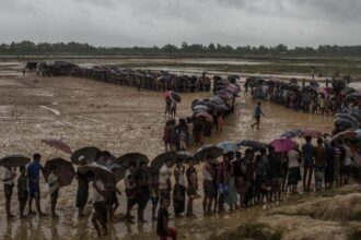 8 Years On: Accountability needed for Myanmar atrocities against Rohingya