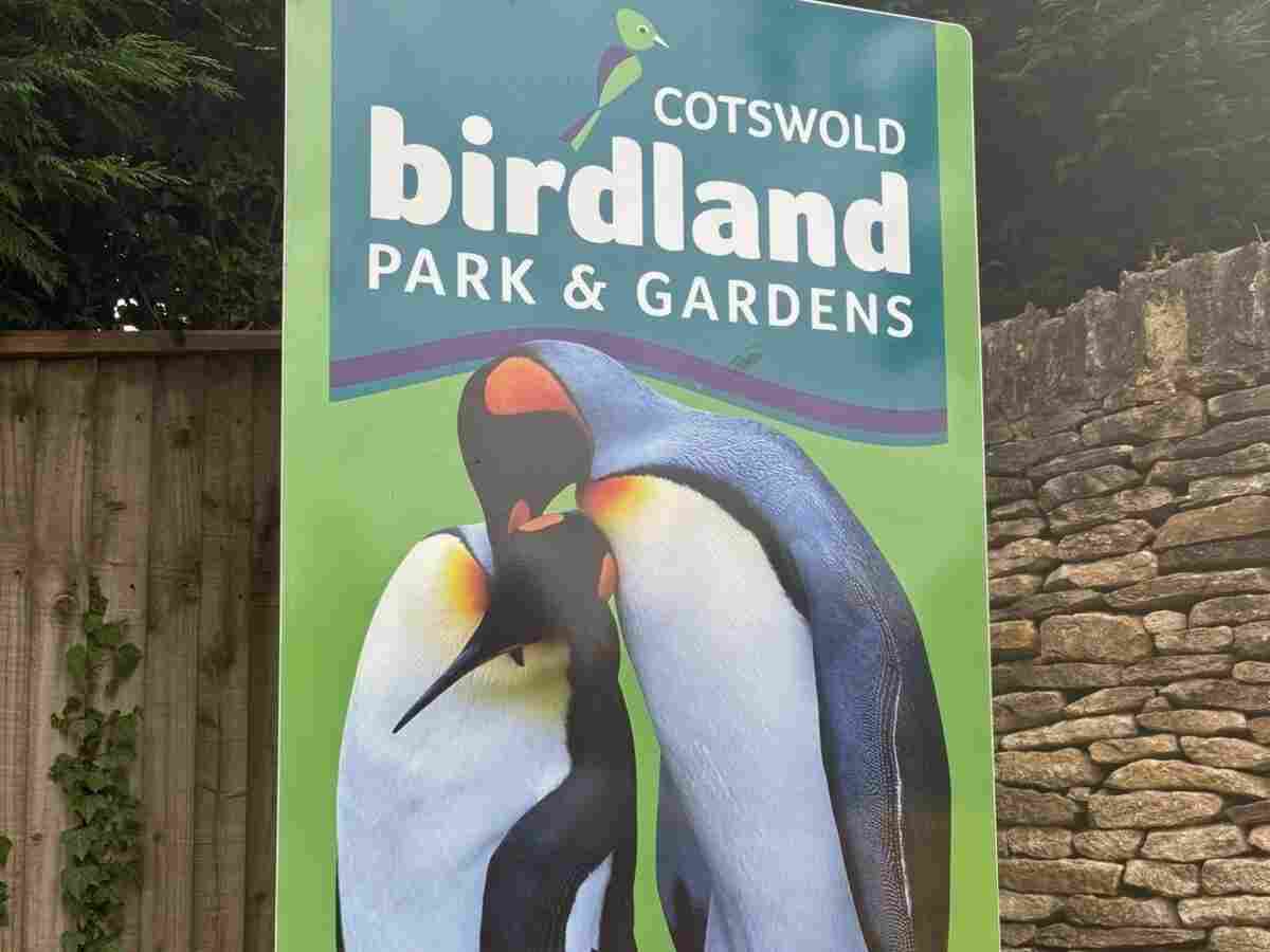 African Penguins' deaths at Birdland facility may be negligent