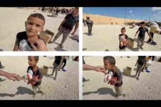 Amir walked 12km to get some bread. The IDF then killed him.