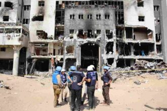 Gaza famine is a “man-made disaster” requiring urgent action