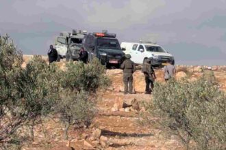 Israeli settlers storm and attack yet more Palestinian property