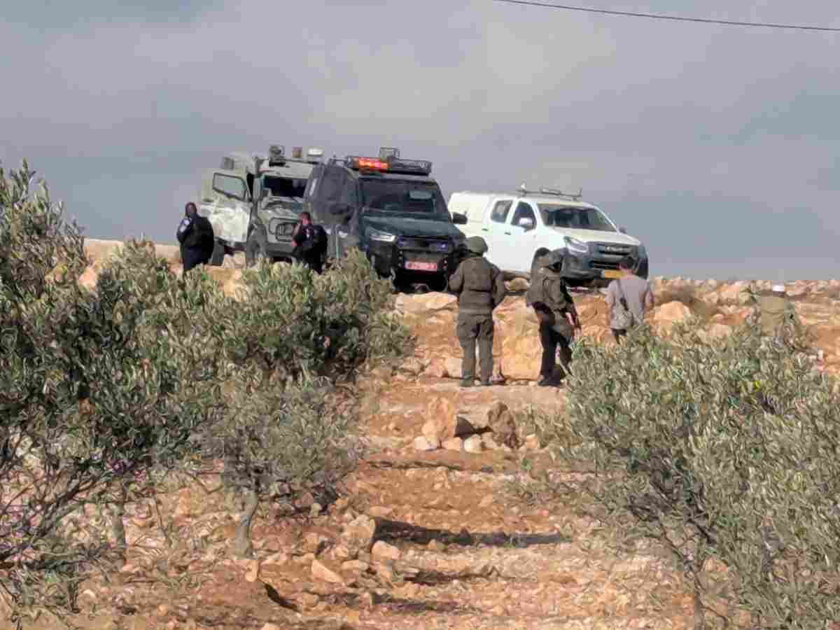 Israeli settlers storm and attack yet more Palestinian property