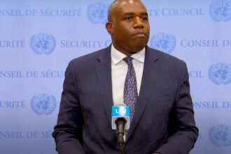 Lammy's statement on Israel's genocide falls flat