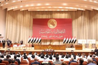 Lawmakers must ensure new law does not restrict freedoms