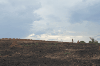 Madagascar: Authorities fail to protect and assist Antandroy people displaced by climate-exacerbated droughts – new report