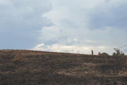 Madagascar: Authorities fail to protect and assist Antandroy people displaced by climate-exacerbated droughts – new report