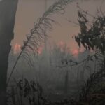 BR-319 is causing a smoke pollution crisis in the Amazon