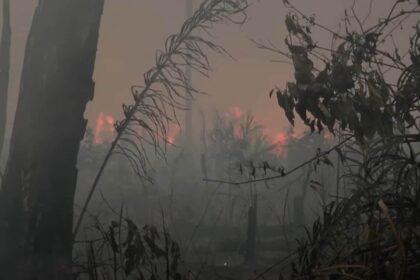 BR-319 is causing a smoke pollution crisis in the Amazon