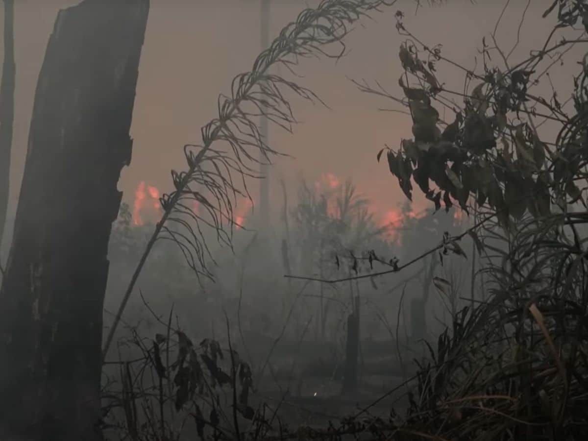 BR-319 is causing a smoke pollution crisis in the Amazon