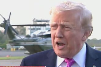 Donald Trump just told the wildest lie of his career yet