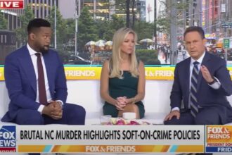 Fox News host suggests putting down homeless people like dogs