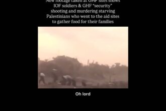 GHF slaughters more civilians at Zikim 'aid' station