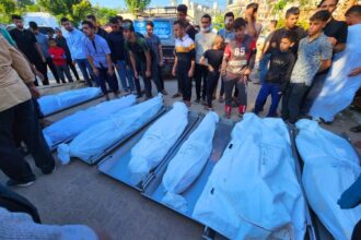 Gaza genocide death toll revised up