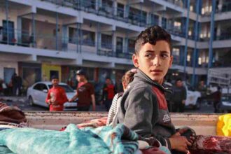 Gaza now has 660,000 children missing out on school