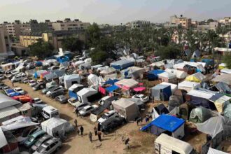 Gaza sees a mystery disease sweep through it