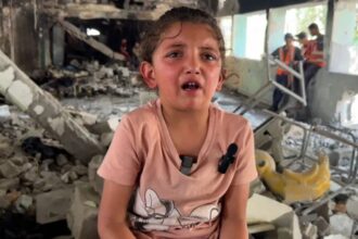Israel has now destroyed 95% of educational infrastructure in Gaza