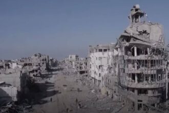 Israel is committing an environmental genocide in Gaza