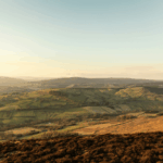 Landed gentry dominate land ownership