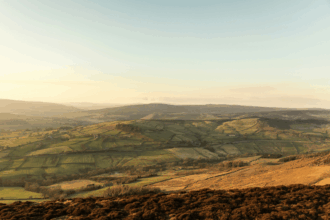 Landed gentry dominate land ownership