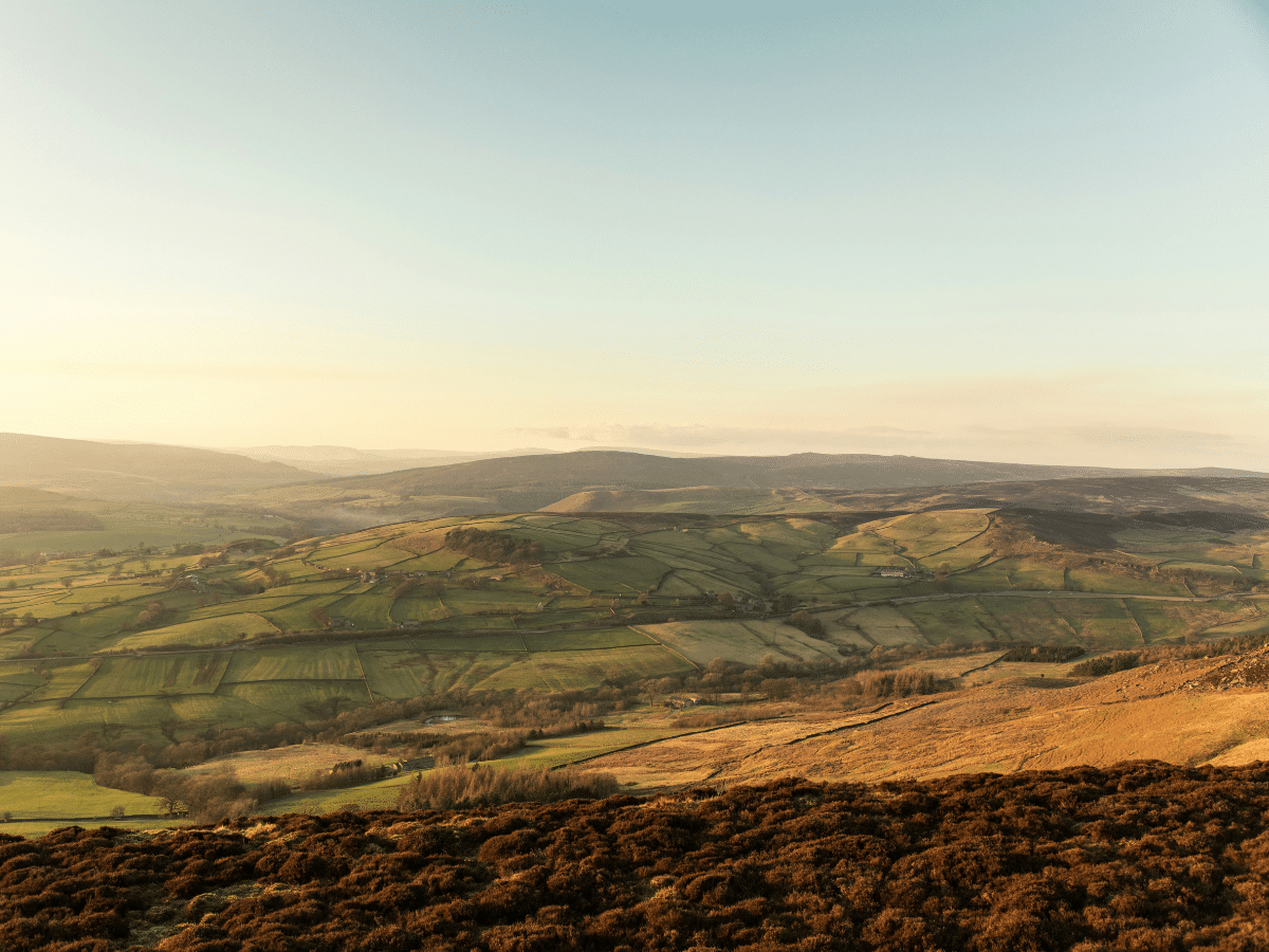 Landed gentry dominate land ownership