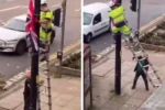 'Madness' as man on street attacks worker removing flag