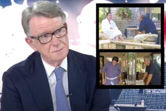 Mandelson's latest Epstein defence is utterly damning