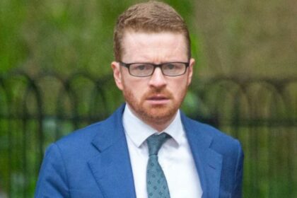 McSweeney admin error excuse enough say Electoral Commission