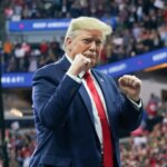Trump and his mass deportation plan can go ahead, says court