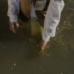 When Industrial Pollution Meets Public Health Activism