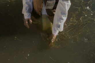 When Industrial Pollution Meets Public Health Activism