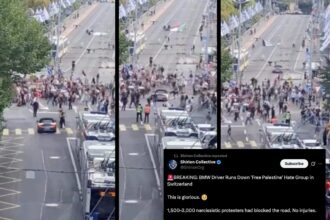 Zionist 'hate network' celebrates BMW driving through Gaza protest