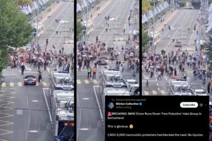 Zionist 'hate network' celebrates BMW driving through Gaza protest