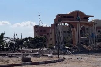 academics sheltering amid the graveyards of Gaza