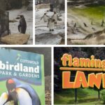 deaths, infections, and 'clear signs of distress'