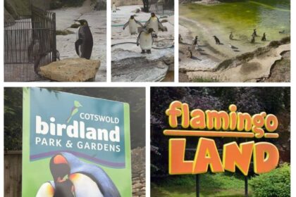 deaths, infections, and 'clear signs of distress'