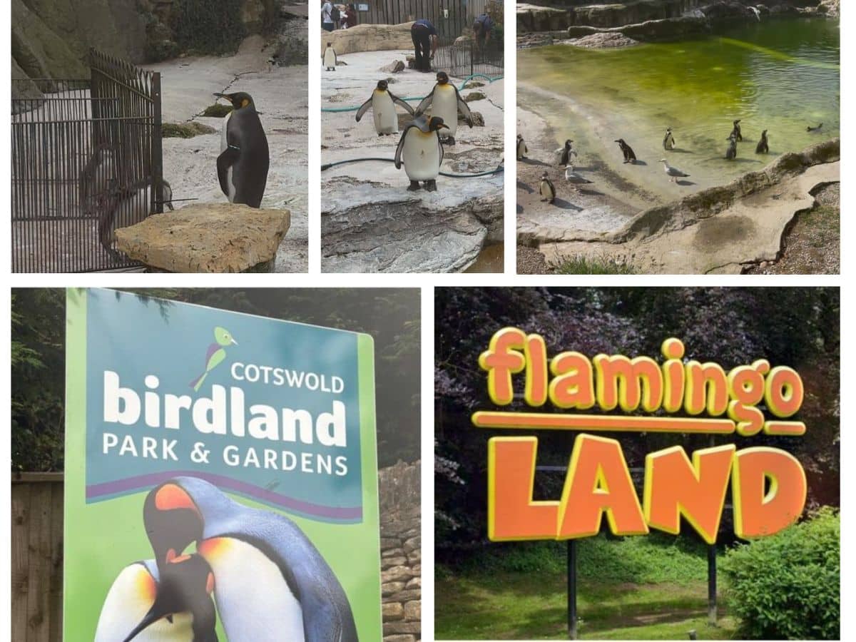 deaths, infections, and 'clear signs of distress'