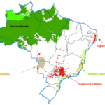 Brazil’s biofuels boom under scrutiny ahead of COP30