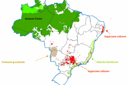 Brazil’s biofuels boom under scrutiny ahead of COP30