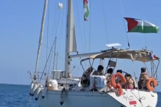 British government abandons British flotilla activists