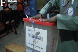 Cameroon protests rage after allegations of election fraud