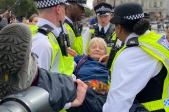 Cops outnumbered as Defend Our Juries returns to central London