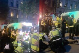 Cops turn violent at flotilla solidarity protest in Downing Street