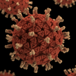 Diseases in animals threaten vital ecosystems, new report finds