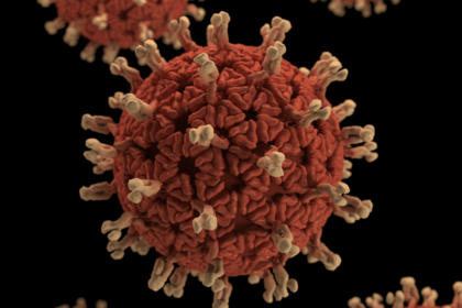 Diseases in animals threaten vital ecosystems, new report finds