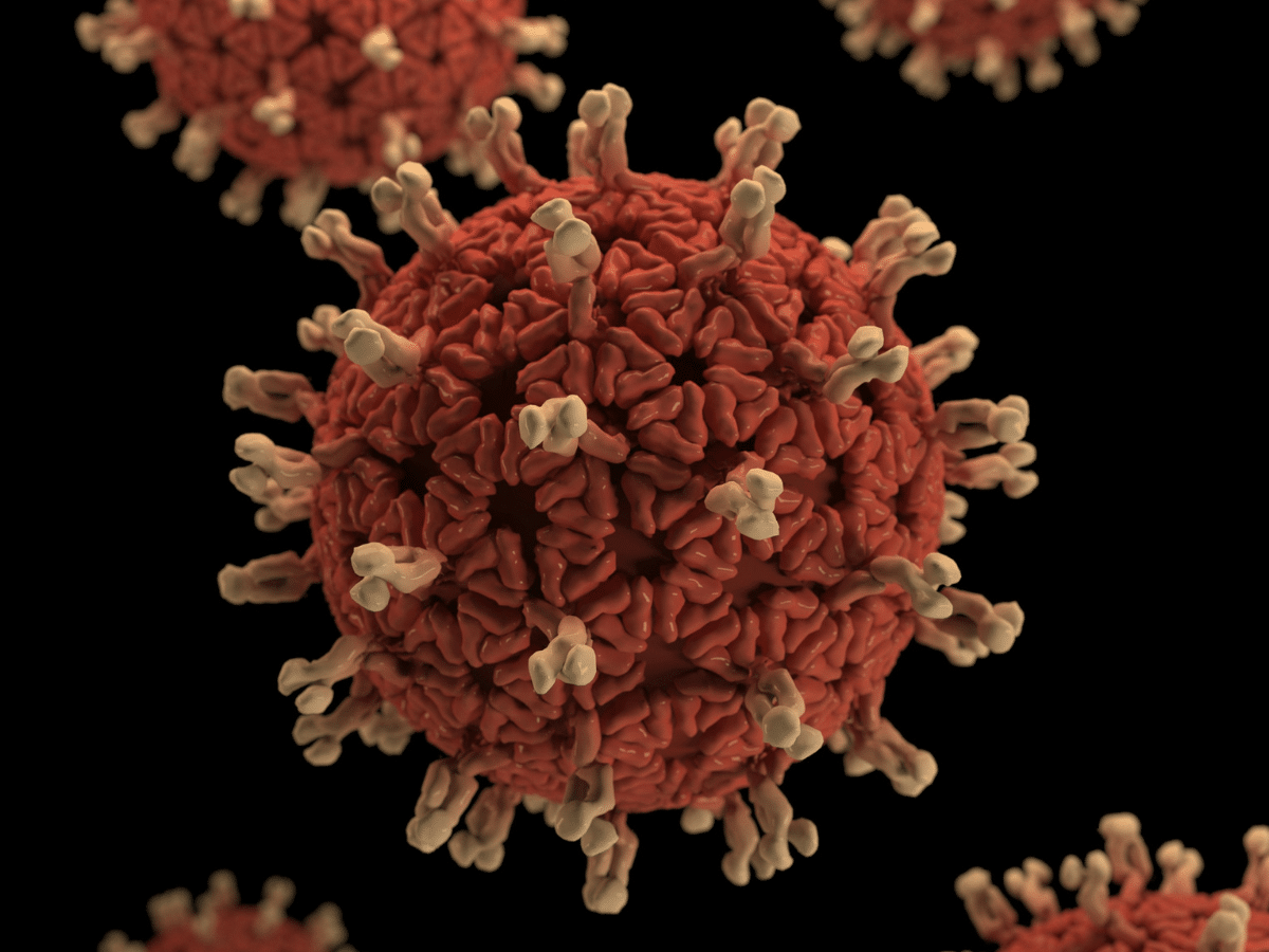 Diseases in animals threaten vital ecosystems, new report finds