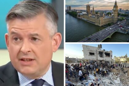 Establishment ghouls celebrate ceasefire they opposed