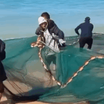 Flotilla frees Palestinians to fish safely