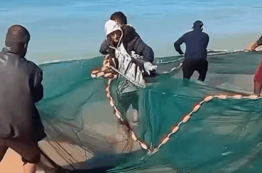 Flotilla frees Palestinians to fish safely