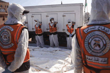 Forensic expert details sickening Israeli torture