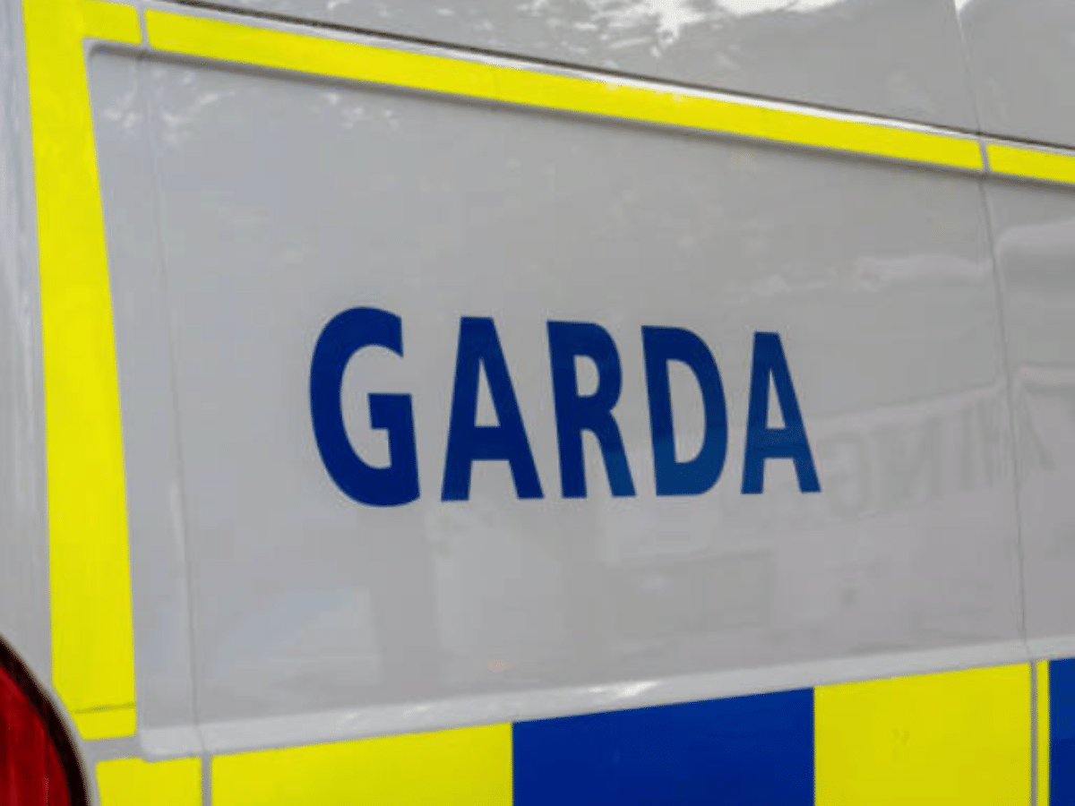 Gardaí unleashed thuggery on October 4